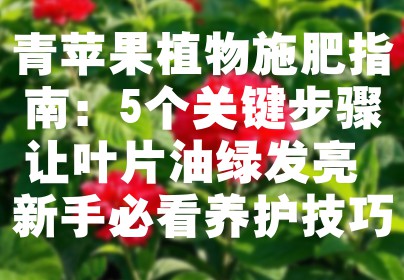 青苹果植物施肥指南：5个关键步骤让叶片油绿发亮 新手必看养护技巧