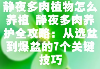 静夜多肉植物怎么养植 静夜多肉养护全攻略：从选盆到爆盆的7个关键技巧