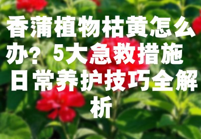 香蒲植物枯黄怎么办？5大急救措施+日常养护技巧全解析