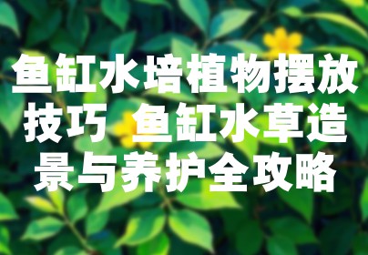 鱼缸水培植物摆放技巧 鱼缸水草造景与养护全攻略