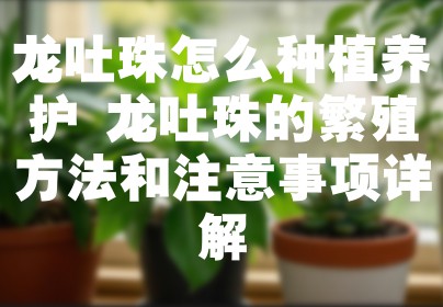 龙吐珠怎么种植养护 龙吐珠的繁殖方法和注意事项详解