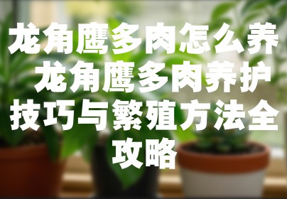 龙角鹰多肉怎么养 龙角鹰多肉养护技巧与繁殖方法全攻略