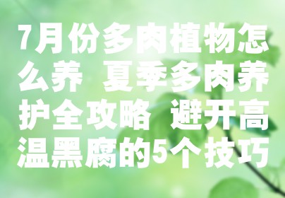 7月份多肉植物怎么养 夏季多肉养护全攻略 避开高温黑腐的5个技巧